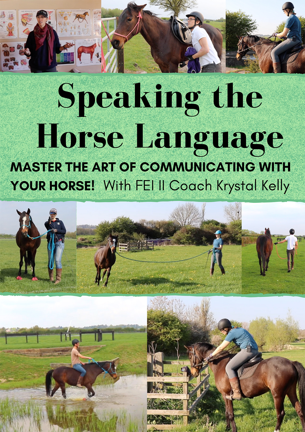 speaking-the-horse-language-film-festival-flix