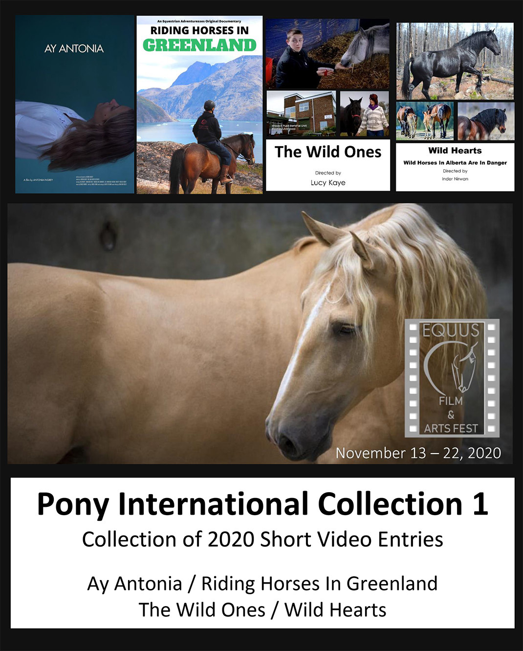 EQUUS Pony International Collection 1 FILM FESTIVAL FLIX   2020 Equus Pony International Collection 1 Poster 1 